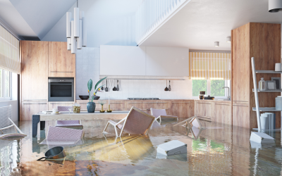 Water Damage Restoration for Busy Brighton and Ann Arbor Families