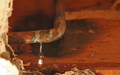 Leak Detection Tips Every Homeowner in Brighton and Ann Arbor Wishes They Knew Earlier