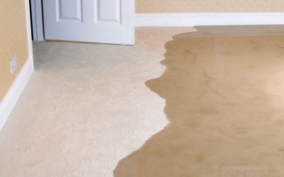 What to Do First Before Calling Flood Damage Restoration Services in Ann Arbor