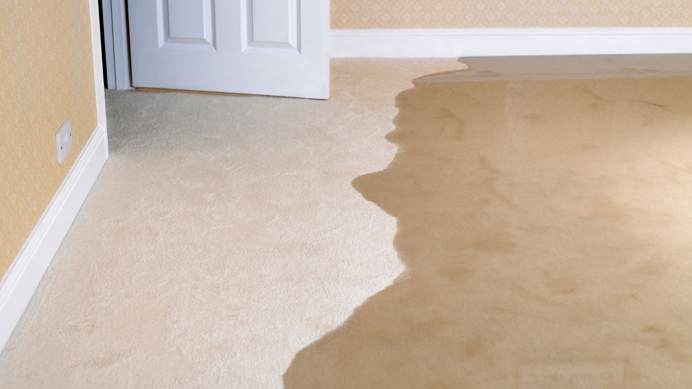 Flooded carpet inside home needing flood damage restoration services in Ann Arbor.