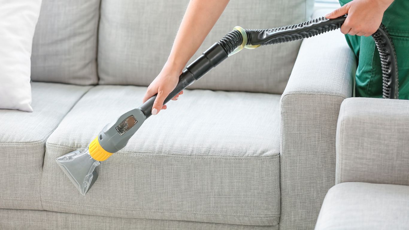 Professional upholstery cleaning for pet and household smells with odor removal services in Ann Arbor