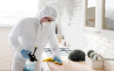 The Real Reason Odors Keep Coming Back Without Proper Odor Removal in Ann Arbor