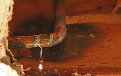 Find the Leak Before It Turns Into a Disaster