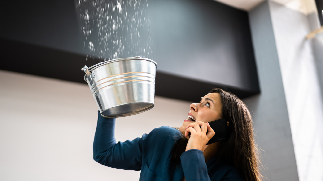 water damage restoration