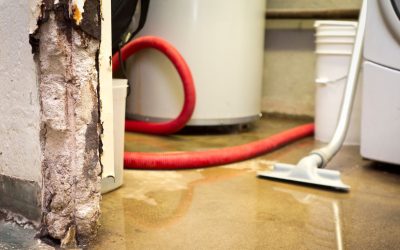 From Water to Wellness: The Role of Flood Damage Restoration in Recovery