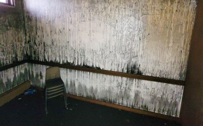 The Importance of Fire Damage Restoration After Smoke and Soot