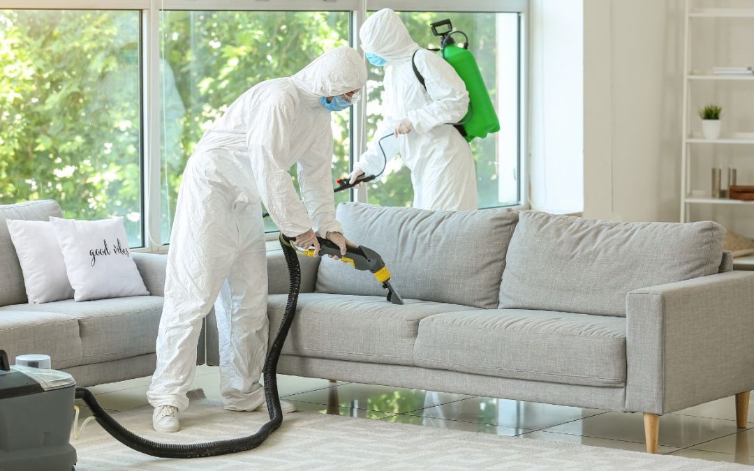 Odor Removal That Makes Your Home Smell Like Home Again