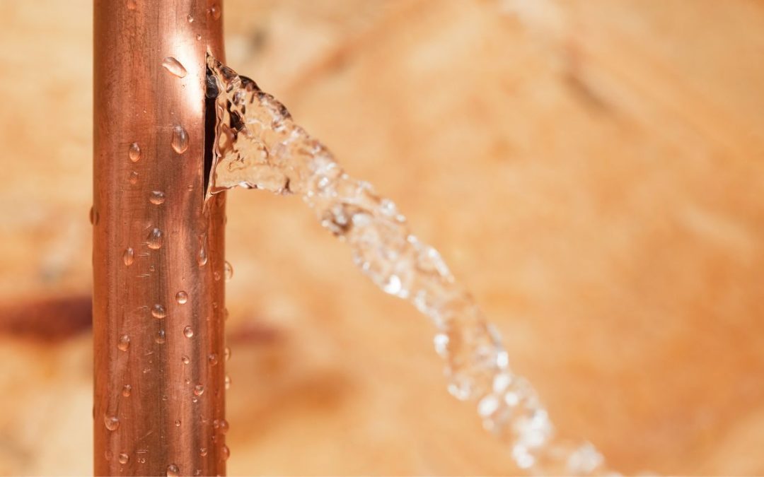 How Leak Detection Services in Worcester Save You from Hidden Surprises