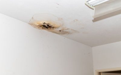 How Professional Leak Detection Keeps Water Damage One Step Behind
