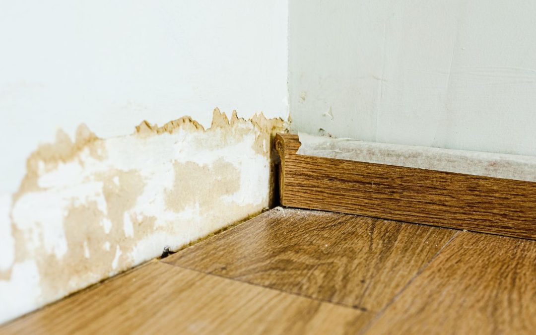 How Smart Water Damage Restoration Turns Home Headaches into Peace of Mind