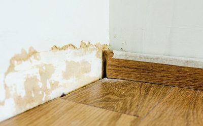 How Smart Water Damage Restoration Turns Home Headaches into Peace of Mind