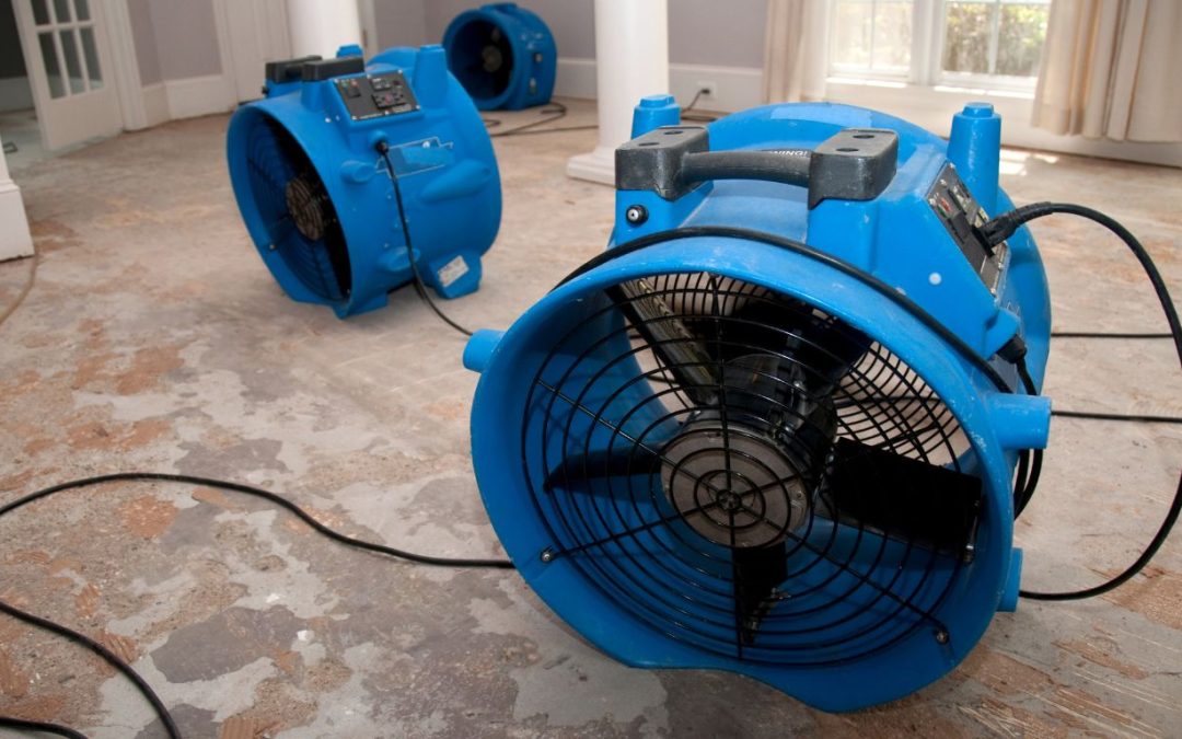 The Secret to Faster Recovery Is Expert Structural Drying