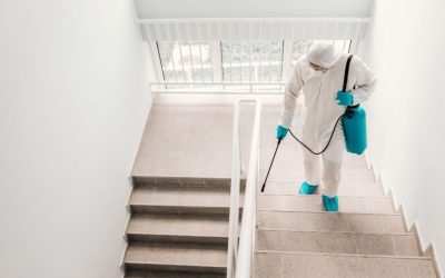 Keep Your Business Running With Professional Commercial Restoration in Dallas