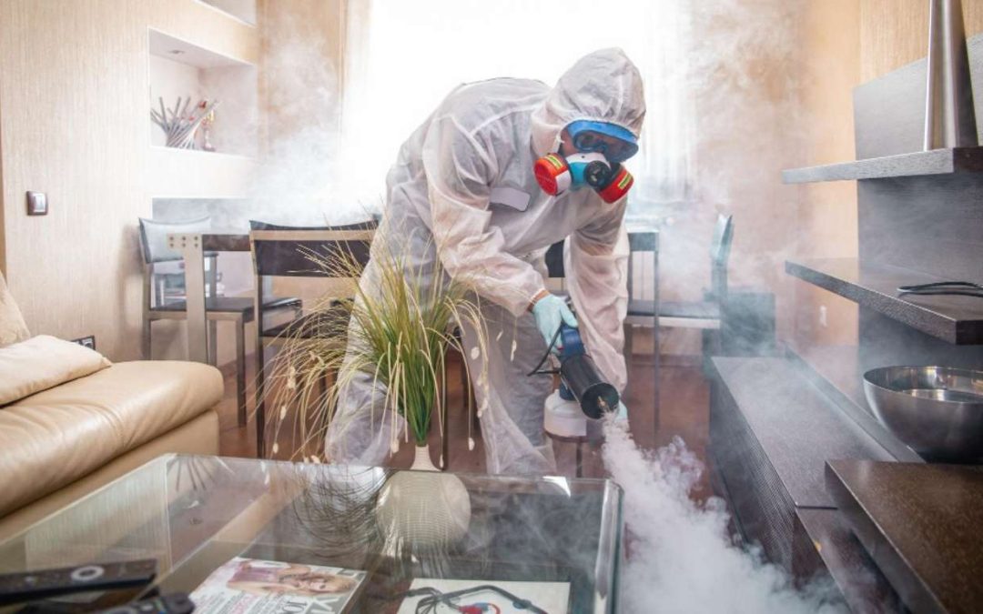 Make Your Home Smell Like New With Odor Removal Expertise in Grapevine