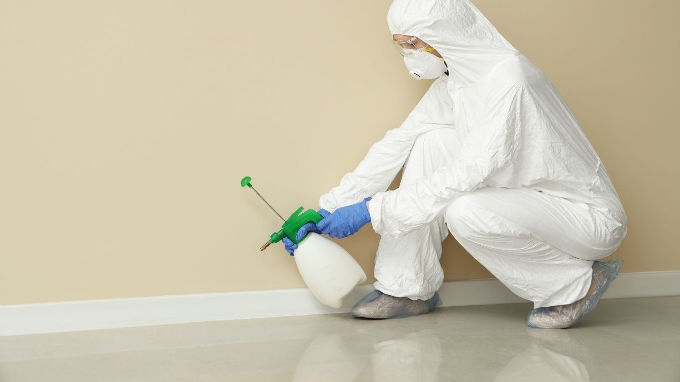 Why Dallas Homeowners Are Chatting About Mold Removal Solutions in Dallas Technician performing mold removal in Dallas by spraying walls with specialized equipment.