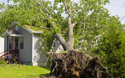 When to Call for Help After Storm Damage in Flower Mound, TX