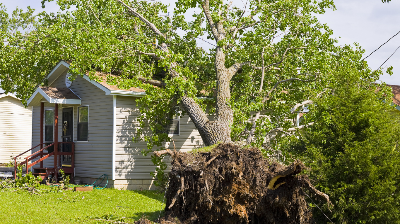 When to Call for Help After Storm Damage in Flower Mound, TX (1) Storm Damage in Flower Mound, TX