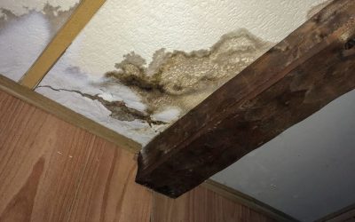 Understanding the Process of Water Damage Restoration in Denver, CO