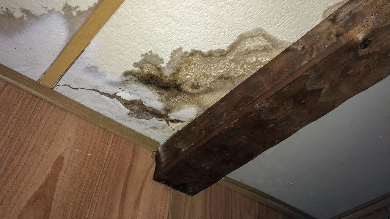 Understanding the Process of Water Damage Restoration in Denver, CO