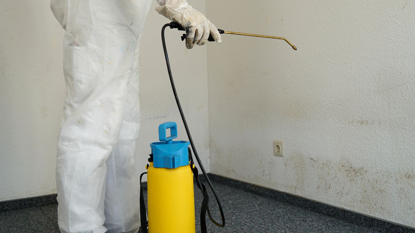 Mold removal in Denver: Professional in protective gear treating mold contamination on walls.