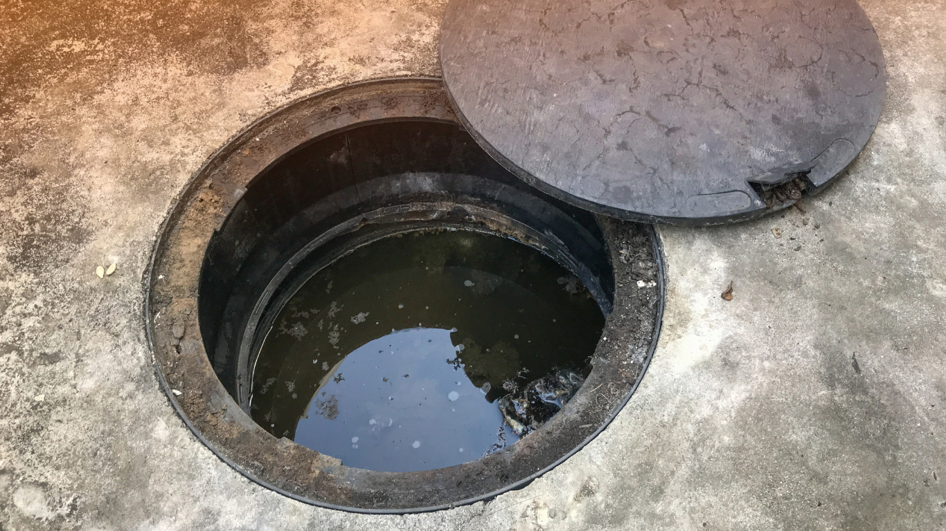 Sewage Cleanup in Denver CO Understanding Health Risks and Safe Cleanup Practices sewage cleanup Denver CO