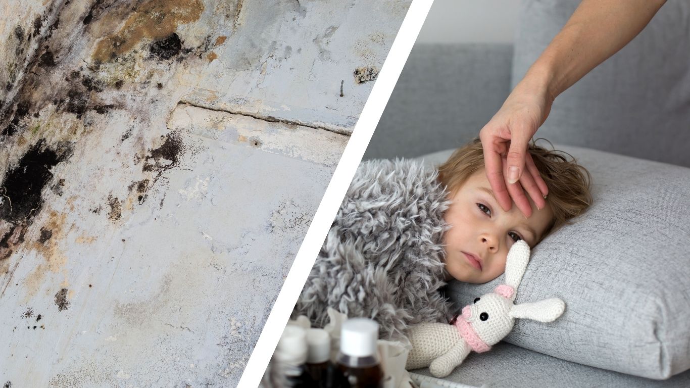 mold exposure in children