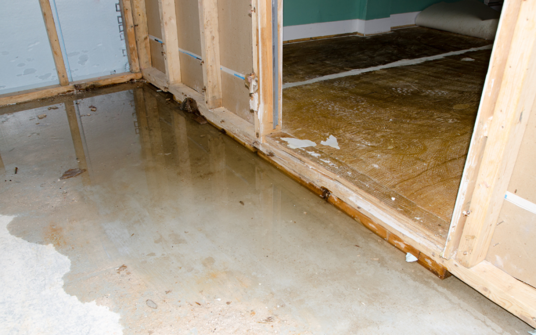 Water Damage Restoration Made Easy So You Can Stop Worrying and Start Drying