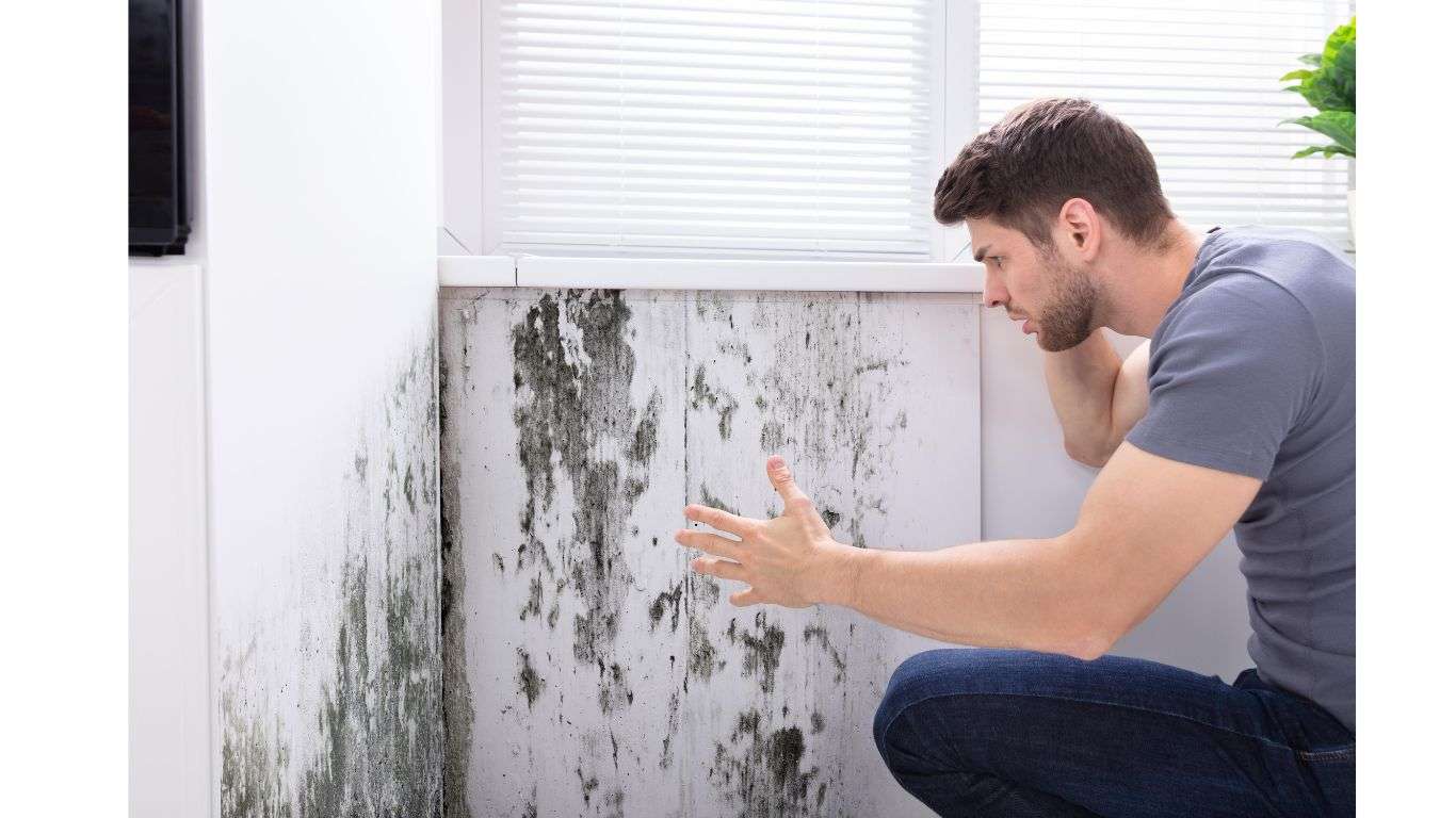 Signs of Mold
