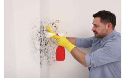 Debunking The Most Popular Mold Myths