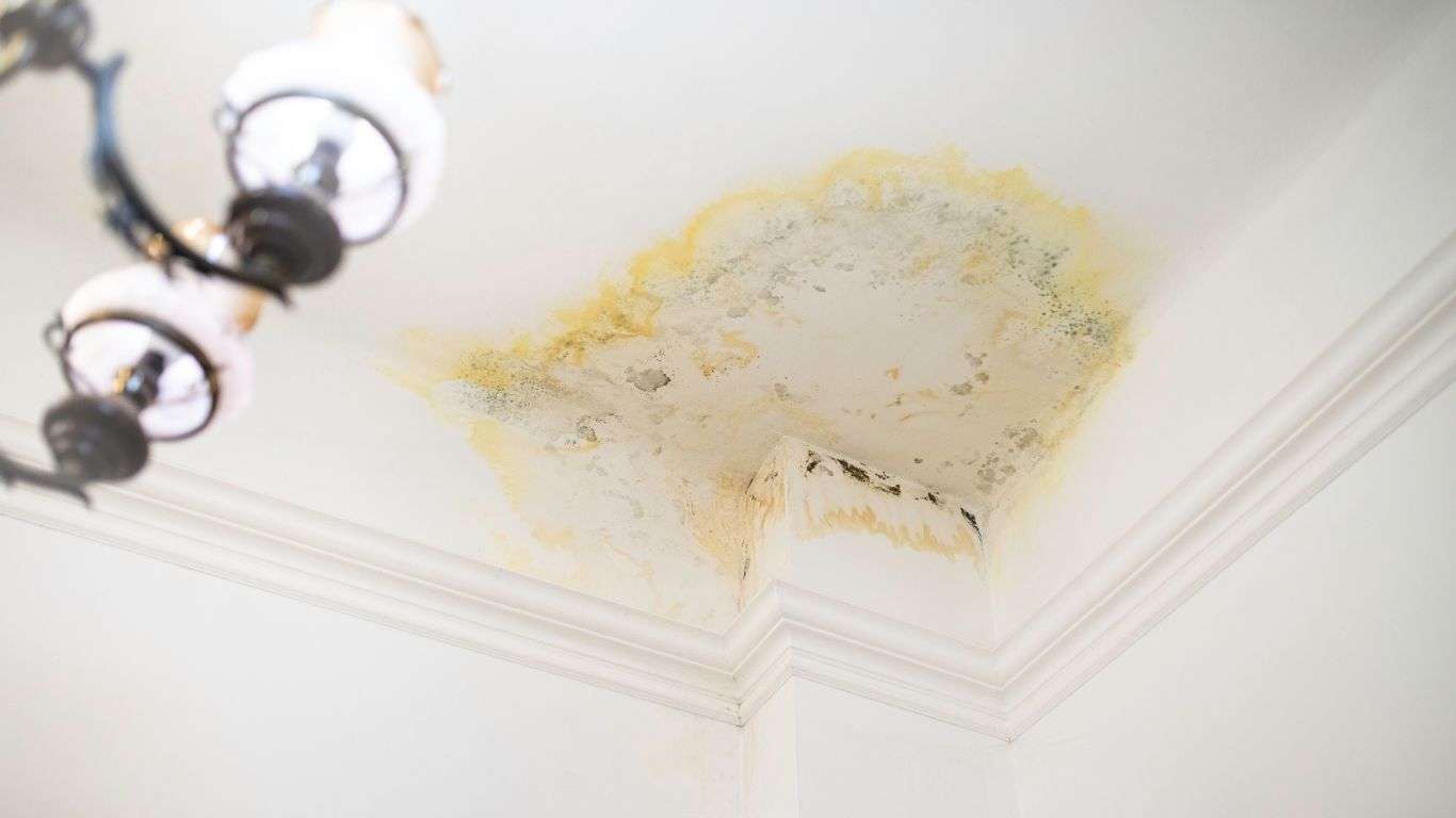stain-ceiling-from-flooding-by-upstairs-neighbors-water-leak-damage-insurance-claiming-case mold infestation on the ceiling from flooding by upstairs neighbors