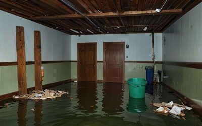 How Professionals Can Help in Emergency Basement Flooding Situations