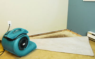 How Structural Drying Prevents Long-Term Damage and Decay