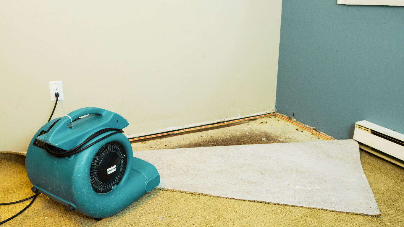 A blue air mover drying a section of carpet and exposed floorboards in a partially restored room, highlighting structural drying efforts.