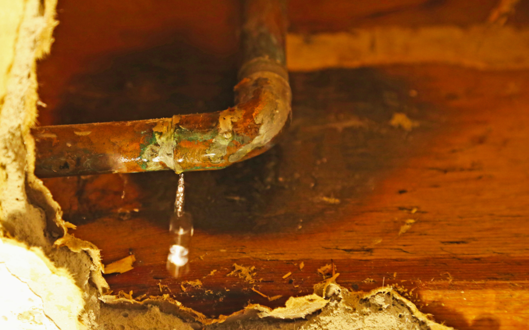 The Hidden Leak Seekers How Water Leak Detection Uncovers Sneaky Drips