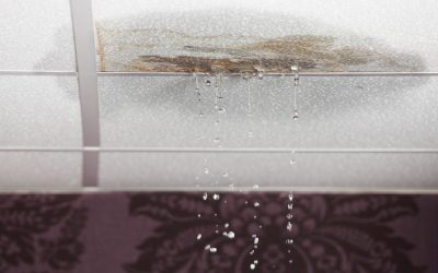 Warm Up Your Winter with Smart Leak Detection Services