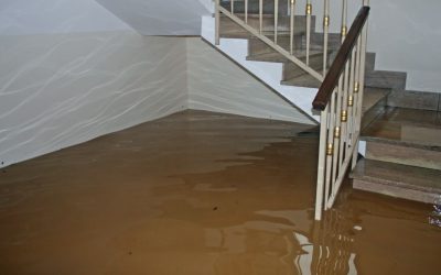 Flood Damage Restoration That Turns High Water into High Confidence
