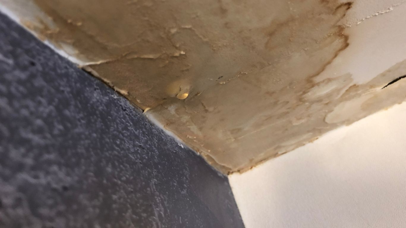 Water damage restoration port charlotte for a leaking ceiling and stained drywall corner