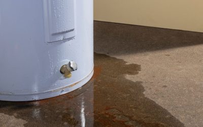 Why Early Leak Detection in Port Charlotte Save You Big on Repairs