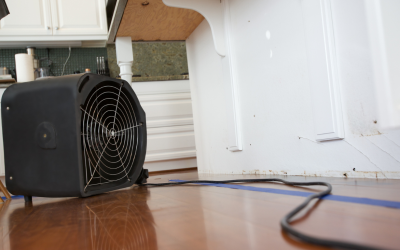 Florida Gulf Coast Water Damage Restoration Steps to Take in the First 24 Hours