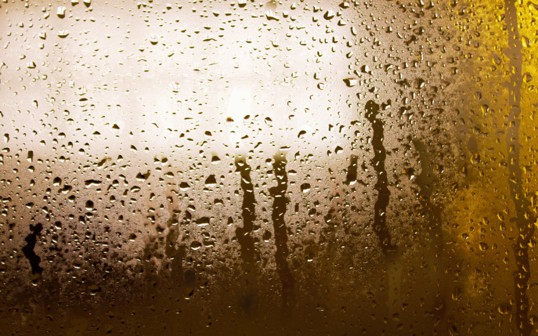 The Importance of Dehumidification in Florida’s High-Humidity Climate