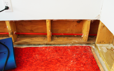 The Importance of Fast Structural Drying After Water Damage