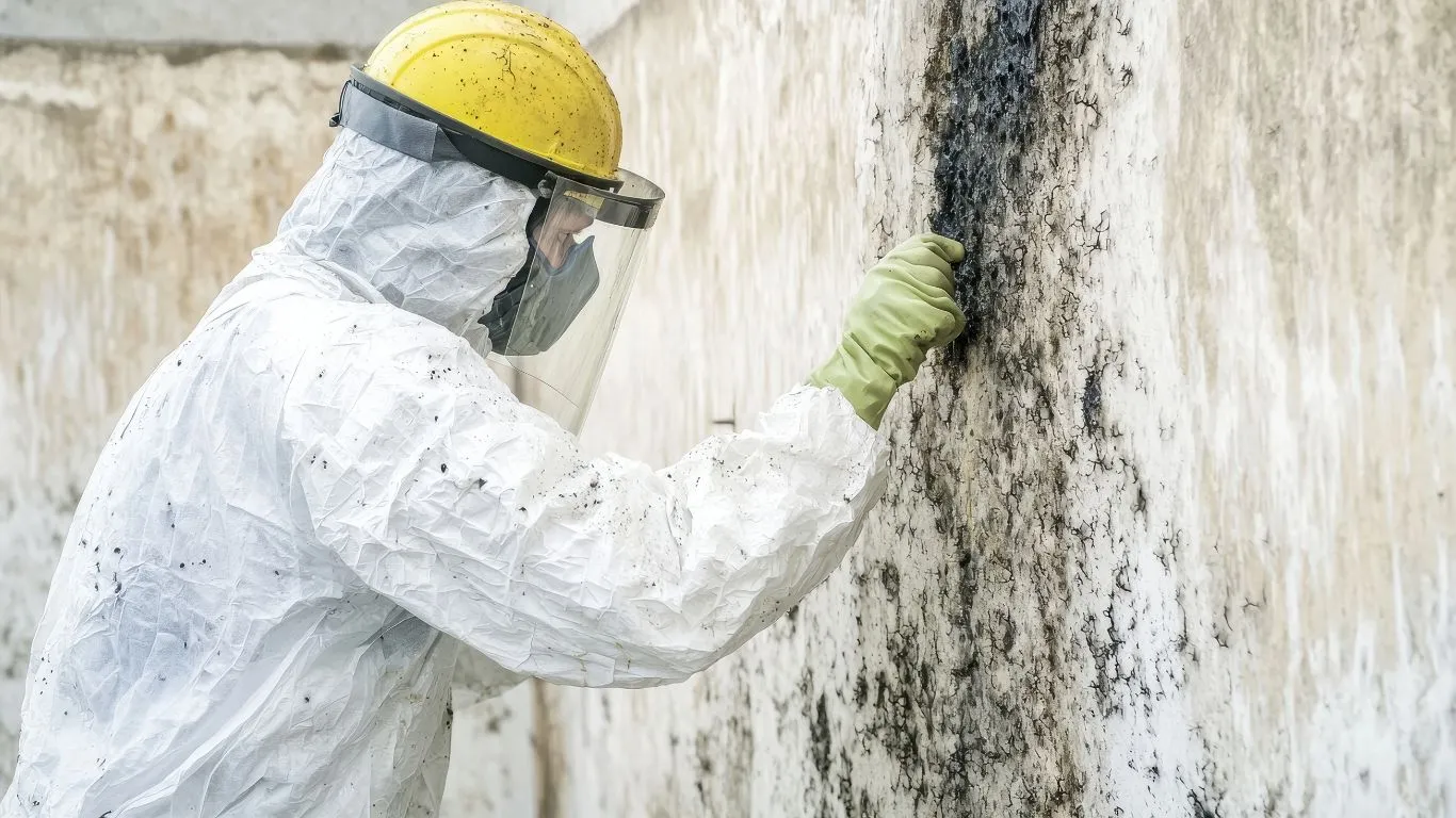 mold-inspections-professional-conducting-thorough-assessment-of-the-extent-of-mold