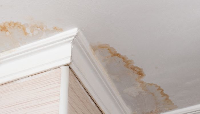 water leaks on ceiling - Naples water damage