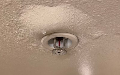 Turn Sneaky Water Leaks Into Quick Fixes With Smart Leak Detection