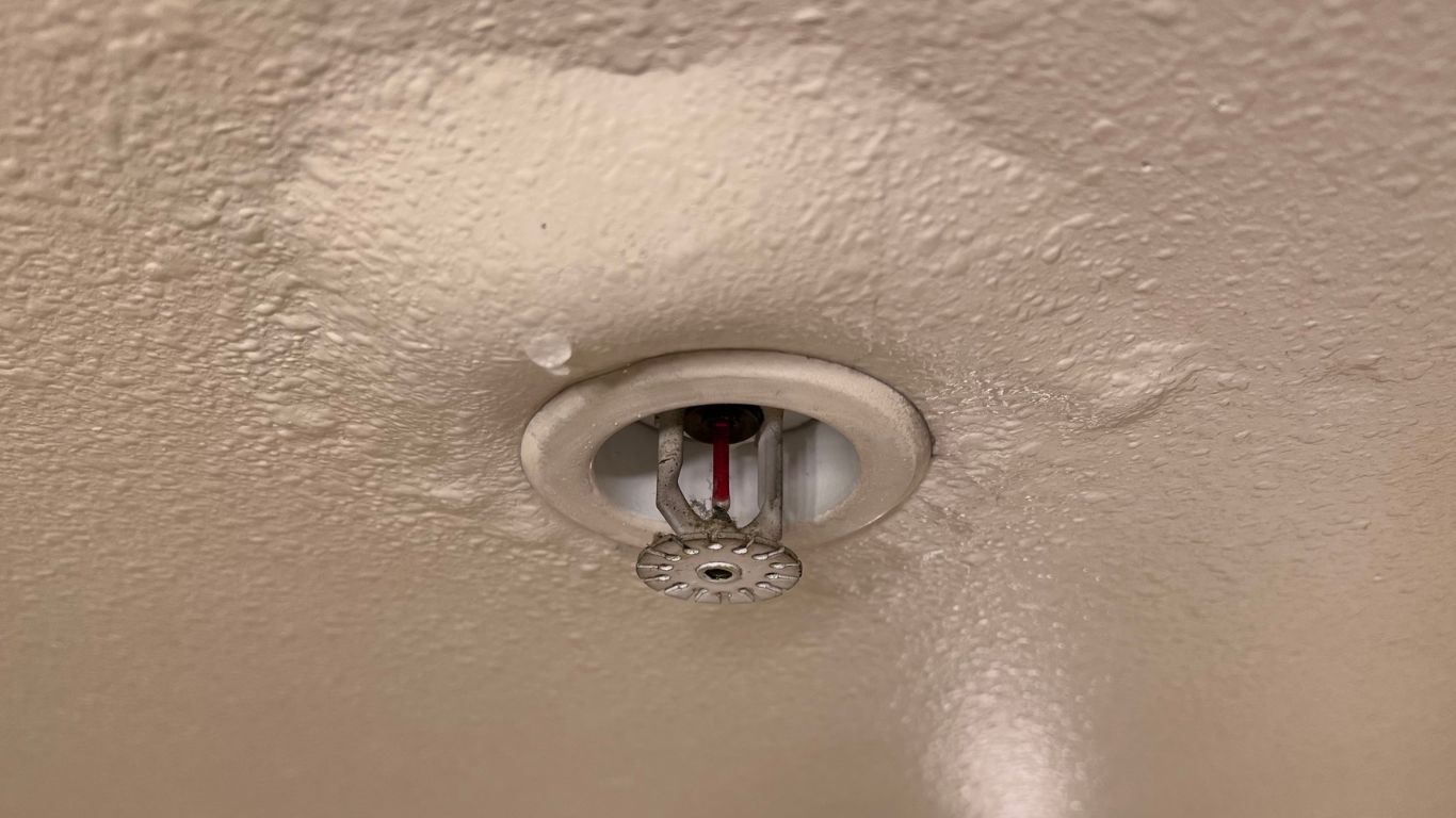 Ceiling sprinkler head dripping water identified during professional leak detection inspection