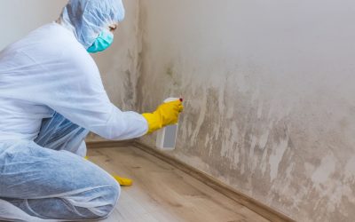Mold Remediation in Boise Myths That Might Surprise You