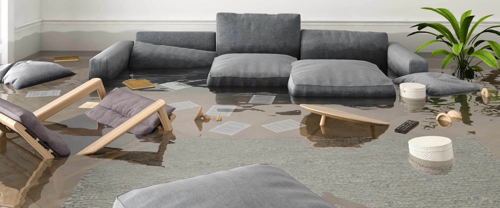 All Dry Services Of Greater and North Shore Boston photo 5 in Boston