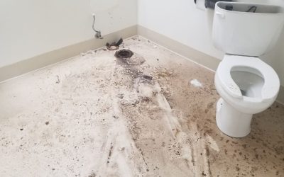 Skip the DIY Disaster and Let Sewage Cleanup Fix the Problem