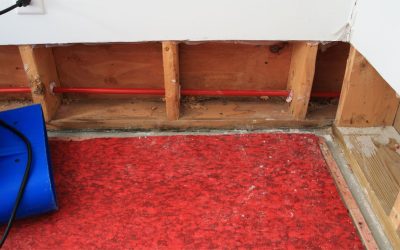 Dry Days Are Ahead With Trusted Water Damage Restoration in Boston