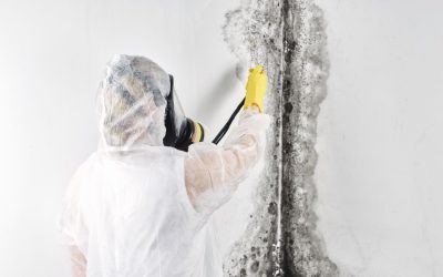 Safe and Certified Mold Removal and Remediation Solutions in Middleton